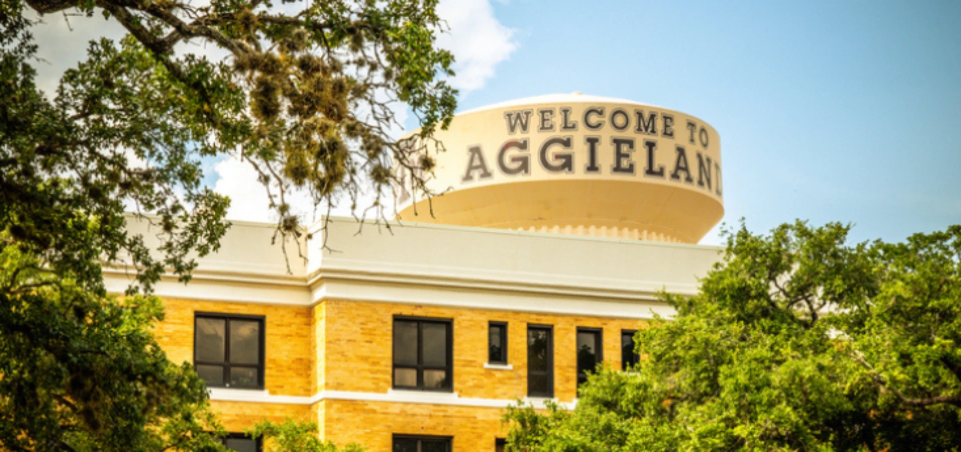 Top 5 dental problems in College Station at Atkins & Anderson DDS near Aggieland